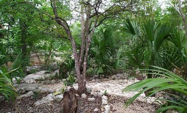 Venta de terreno, Tipo Campestre, con cabañas y casa, Valladolid, ,Yuc