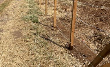 PARCELA  EN LA HACIENDA EN  VALLE DE JUÁREZ  JAL