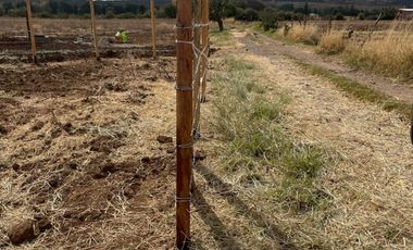 PARCELA  EN LA HACIENDA EN  VALLE DE JUÁREZ  JAL