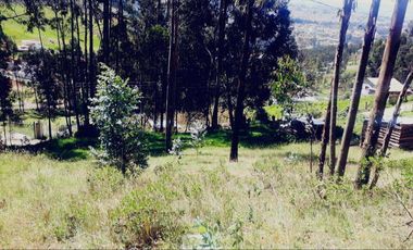 Terreno en venta, sector Huizhil Alto