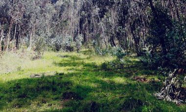 Terreno en venta, sector Huizhil Alto