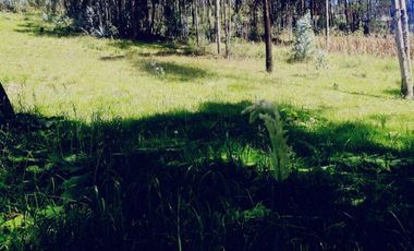 Terreno en venta, sector Huizhil Alto