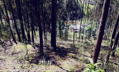 Terreno en venta, sector Huizhil Alto