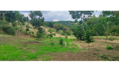 Venta de lote de 1992 M2 en 150 mill en San Joaquin Ins de La Mesa