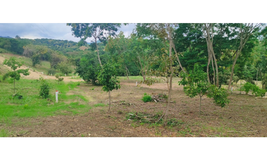 Venta de lote de 1992 M2 en 150 mill en San Joaquin Ins de La Mesa