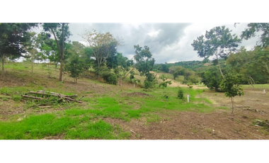 Venta de lote de 1992 M2 en 150 mill en San Joaquin Ins de La Mesa