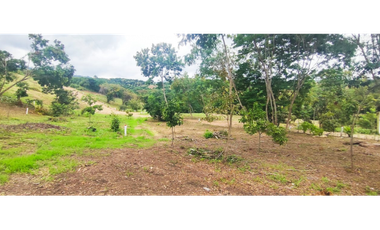 Venta de lote de 1992 M2 en 150 mill en San Joaquin Ins de La Mesa