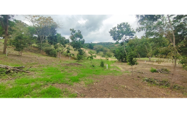 Venta de lote de 1992 M2 en 150 mill en San Joaquin Ins de La Mesa