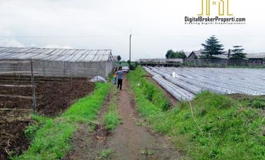 BU CEPAT tanah cocok untuk pariwisata di cisarua bandung