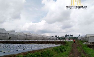 BU CEPAT tanah cocok untuk pariwisata di cisarua bandung