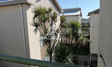 Departamento en Venta en Colo Colo