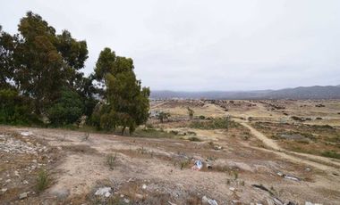 AMPLIO TERRENO SECTOR RINCONADA