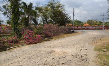 VENTA DE TERRENO EN CHAME 300.000 POR HECTREA..13.4 HECTAREAS