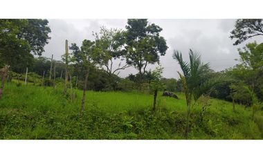 VENTA LOTE VENECIA, SUROESTE ANTIOQUEÑO