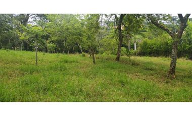 VENTA LOTE VENECIA, SUROESTE ANTIOQUEÑO