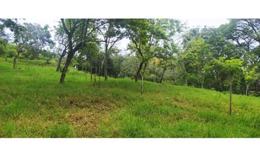 VENTA LOTE VENECIA, SUROESTE ANTIOQUEÑO