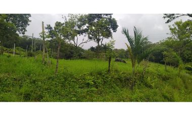 VENTA LOTE VENECIA, SUROESTE ANTIOQUEÑO