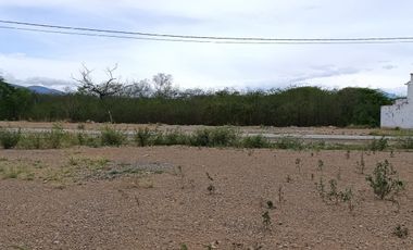 lote en venta en niza. Cod V31320