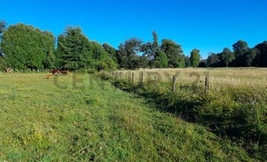 Parcela 6700 M2 con casa 2D 1B en Quepe, a 20 km del centro de Temuco