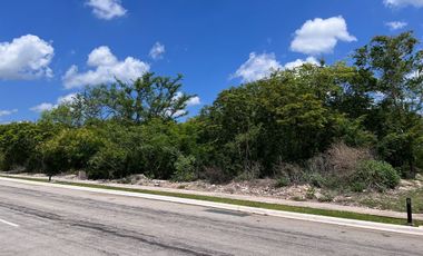 Terreno en Venta en Mérida, Privada El Cortijo, Chablekal ( Lote 20)