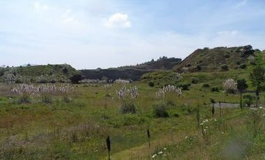 ¡Inversión inteligente! Finca de 12 has en Almoloya