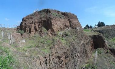 ¡Inversión inteligente! Finca de 12 has en Almoloya