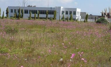 ¡Inversión inteligente! Finca de 12 has en Almoloya