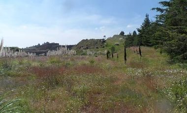 ¡Inversión inteligente! Finca de 12 has en Almoloya