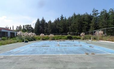 ¡Inversión inteligente! Finca de 12 has en Almoloya