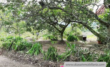 Quinta de Venta – Gualaceo – 1 héctarea (Q-114)