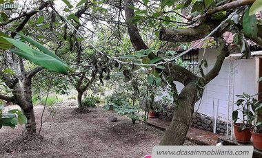 Quinta de Venta – Gualaceo – 1 héctarea (Q-114)