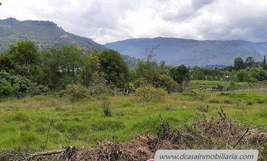 Quinta de Venta – Gualaceo – 1 héctarea (Q-114)