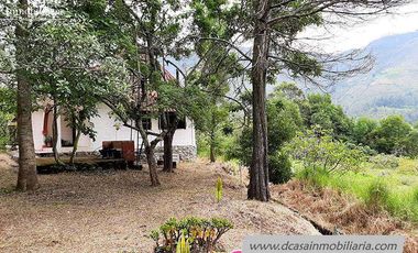Quinta de Venta – Gualaceo – 1 héctarea (Q-114)