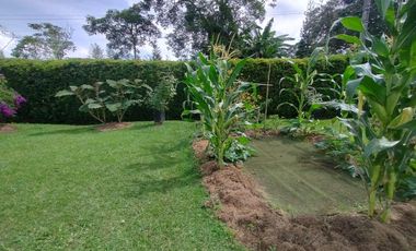 finca en arriendo en la ceja. Cod A64314