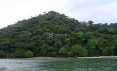 VENDO TERRENO EN LA CHORRERA CAPIRA CERMEÑO 95000MTS