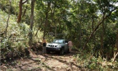 VENDO TERRENO EN LA CHORRERA CAPIRA CERMEÑO 95000MTS