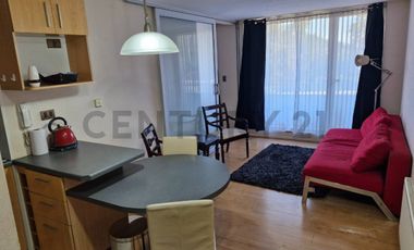 Arriendo Depto amoblado 1D,1B y 1E, Parque Urbano