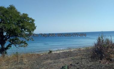 Tanah Murah Tepi Pantai Pulau Moyo View Sunsite