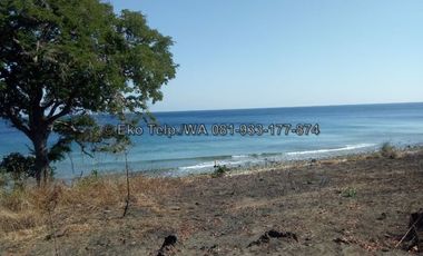 Tanah Murah Tepi Pantai Pulau Moyo View Sunsite