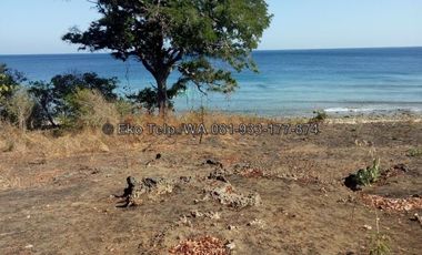 Tanah Murah Tepi Pantai Pulau Moyo View Sunsite