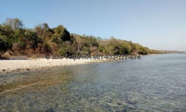 Tanah Murah Tepi Pantai Pulau Moyo View Sunsite