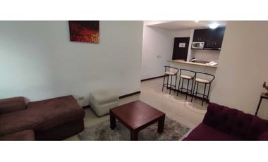 SUITE AMOBLADA EN ALQUILER SECTOR MALL DEL SOL TORRE DEL SOL 2