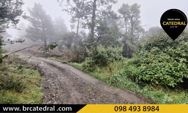 Terreno de venta en chanin – código:20591