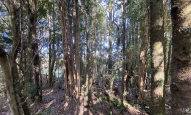 HERMOSA PARCELA DE 5.000M2, PUERTO MONTT