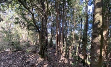 HERMOSA PARCELA DE 5.000M2, PUERTO MONTT