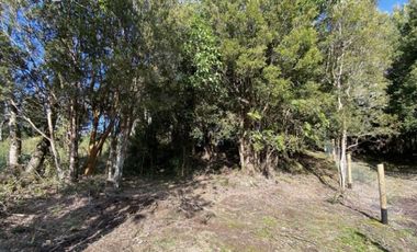 HERMOSA PARCELA DE 5.000M2, PUERTO MONTT