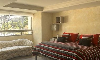 DEPARTAMENTO EN RENTA AMUEBLADO EN RESIDENCIAL PLATINO