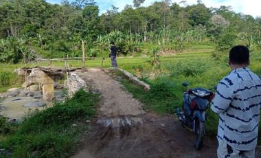 Tanah Kebun Beserta Tanamannya Durian dan Jeruk di Bogor