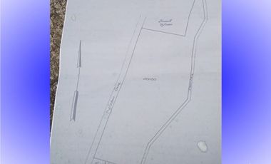 Tanah sawah 1 ha di Bajang Talun Kab. Blitar
