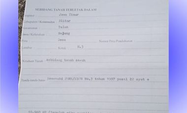 Tanah sawah 1 ha di Bajang Talun Kab. Blitar